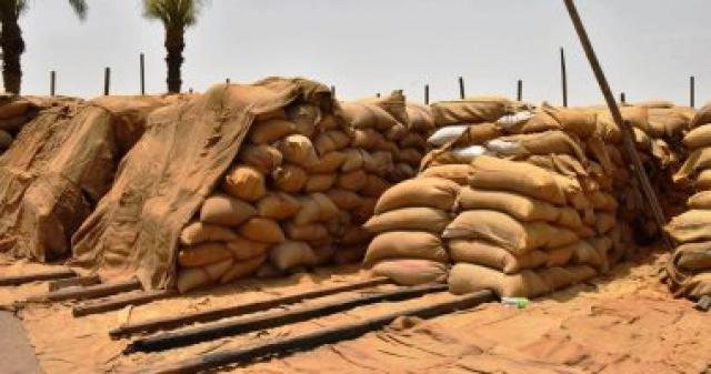 توريد محصول القمح