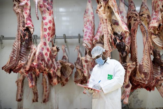 مصر الخير تطلق حملة صك الأضحية للعام الثامن على التوالي لتوزيع اللحوم على الأسر الأولى بالرعاية