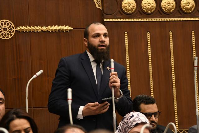 النائب محمود تركي عضو مجلس الشيوخ 