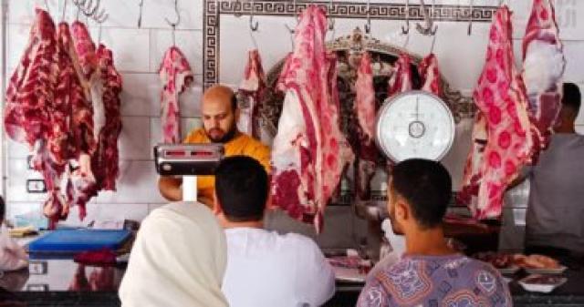 ارشيفية