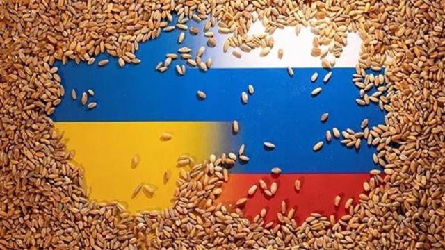 حرب الحبوب بين روسيا واوكرانيا