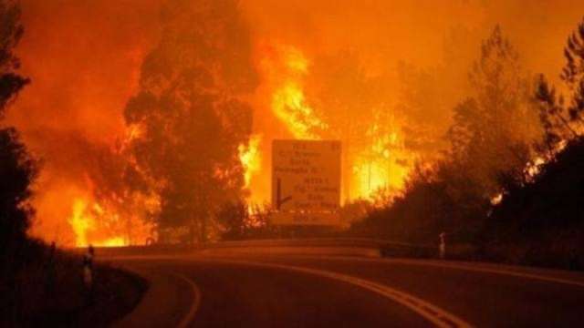 حرائق الغابات بالبرتغال