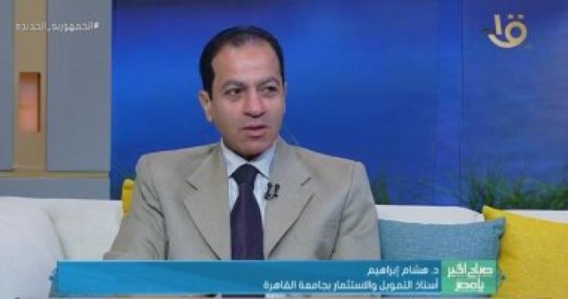 الدكتور هشام إبراهيم أستاذ التمويل والاستثمار بجامعة القاهرة