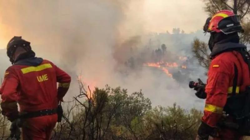 عاجل.. خروج حريق غابات من المستوى الثاني عن السيطرة في إسبانيا