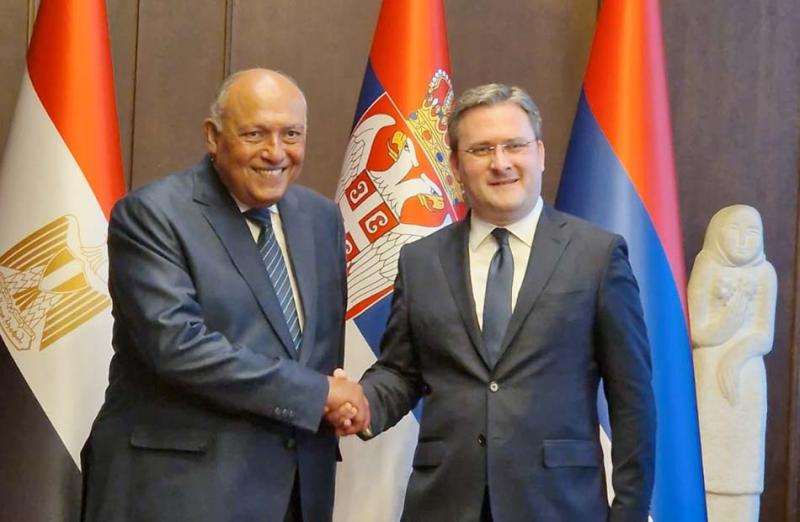 وزير الخارجية يلتقي نظيره الصربي 