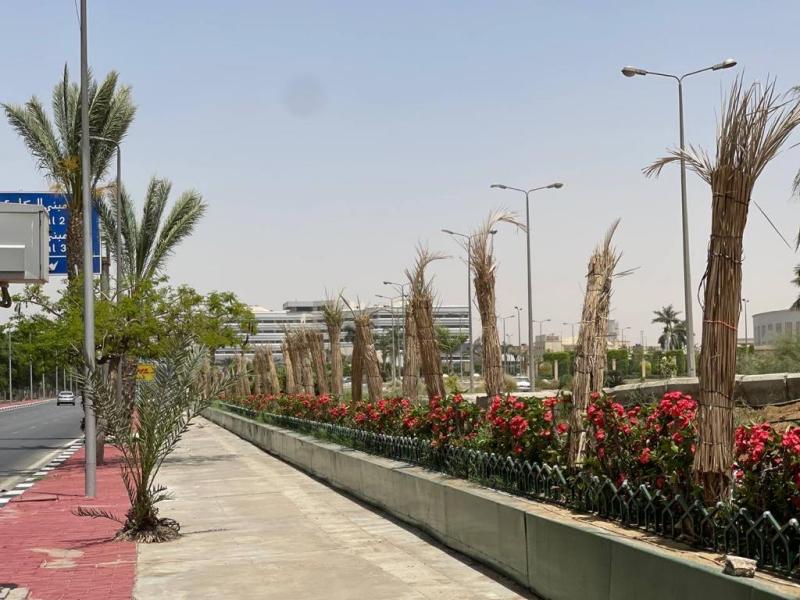 القابضة للمطارات: تطوير شبكة الطرق بمطار القاهرة وزيادة المساحات الخضراء