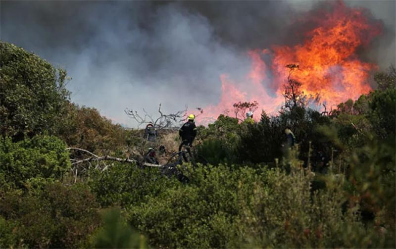حريق في الحديقة الوطنية في كينيا