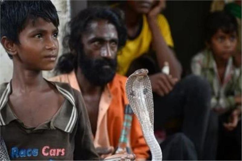 شقيقان يموتان بلدغة ثعبان في الهند والفارق يومان