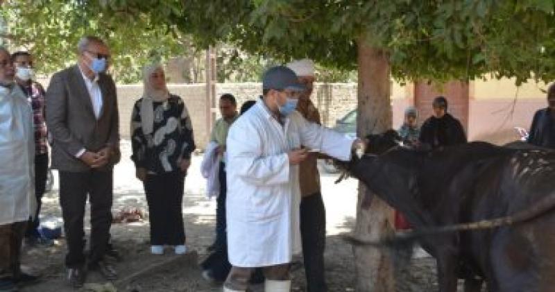 تحصين 3859 رأس ماشية ضد الحمى القلاعية والوادي المتصدع في بنها