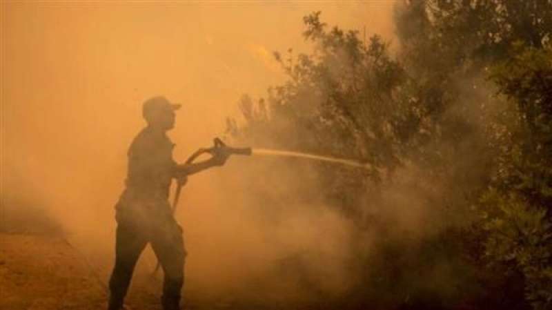 مقتل 3 من رجال الإطفاء في حادث خلال مكافحة حريق غابات بالمغرب