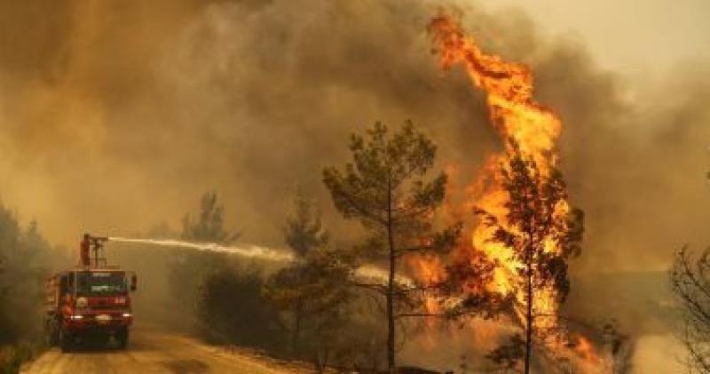 السلطات الجزائرية تعتقل 3 أشخاص بتهمة إشعال النيران فى الغابات