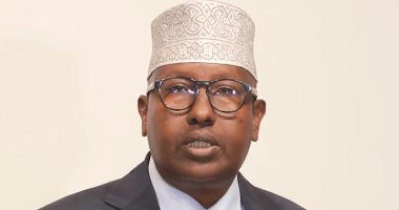 وزير الداخلية في الحكومة الفيدرالية الصومالية أحمد معلم فقي