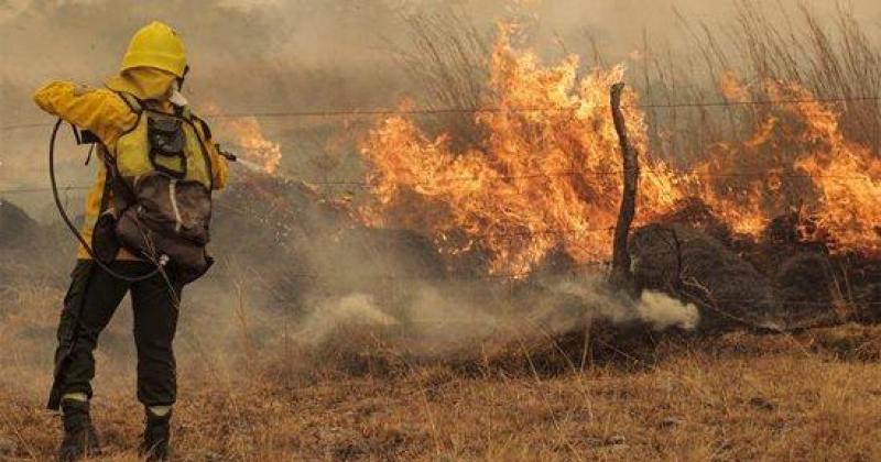 إخماد حريق في غابات صنوبر بجبل لبنان