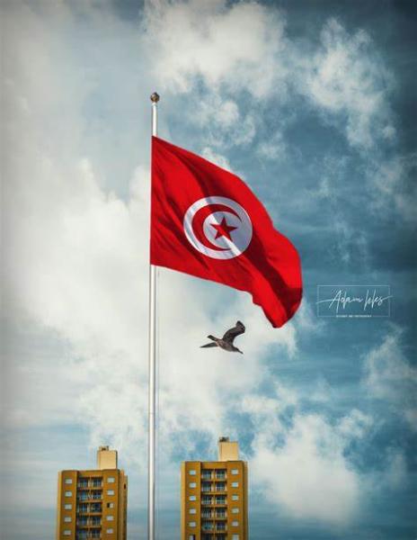  تونس