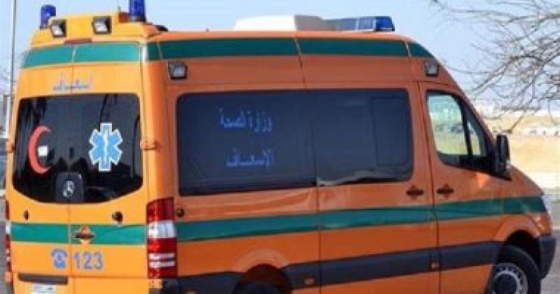 إصابة 14 شخصا فى انقلاب ميكروباص على الطريق الصحراوي الغربي بالمنيا