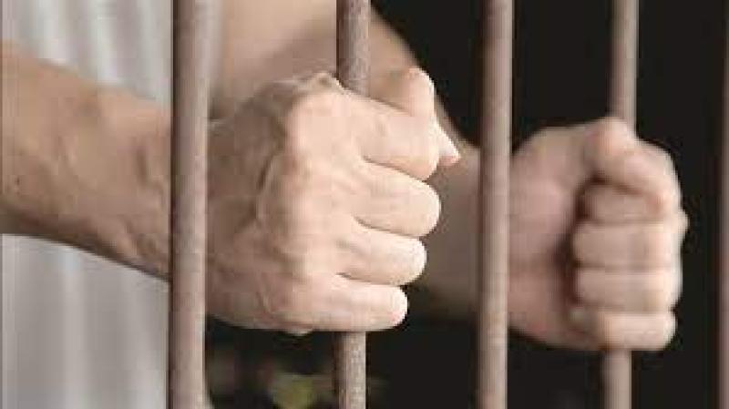 ضبط 48 متهمًا بالاتجار بالمواد المخدرة فى القليوبية