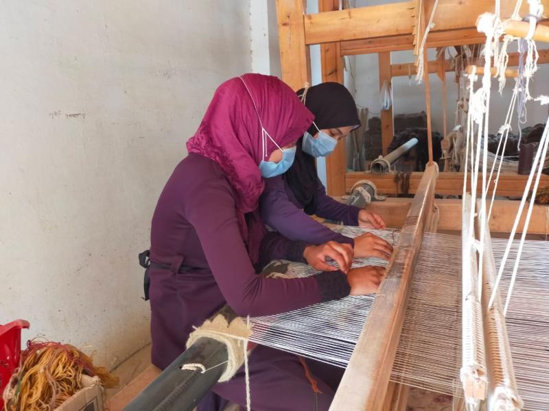 القوى العاملة: تدريب فتيات على مهنة صناعة السجاد و”الكليم” بالوادى الجديد