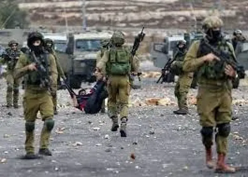الاحتلال يمنع الفلسطينيين من الوصول إلى أراضيهم لقطف الزيتون فى رام الله الاحتلال يمنع الفلسطينيين من الوصول إلى أراضيهم لقطف الزيتون فى رام الله
