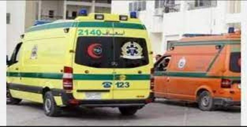 مصرع ٥ أشخاص وإصابة ١٤ آخرين فى حادثين منفصلين بصحراوي المنيا