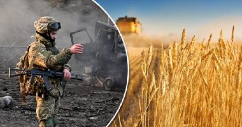 القمح والحرب الأوكرانية