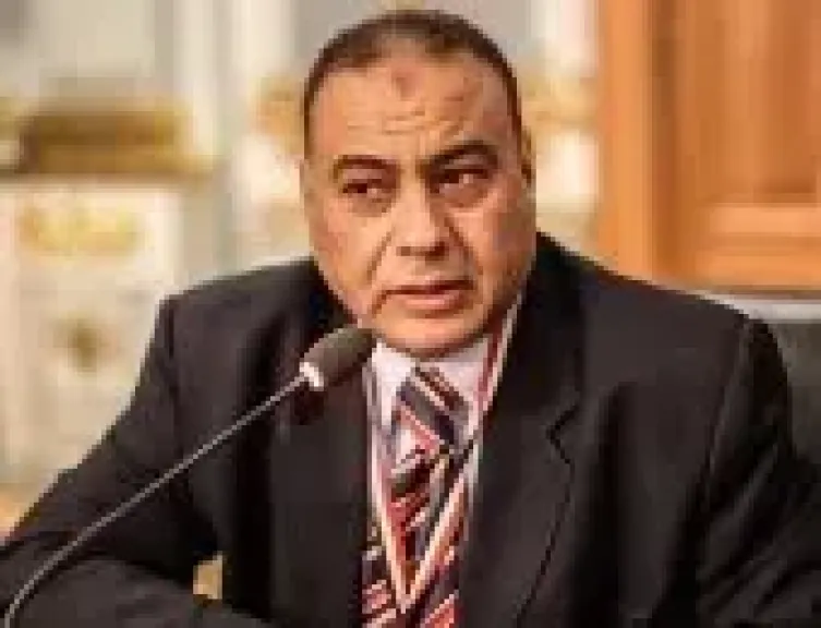 المستشار محمد سليم يكتب: هل يكفي بطلان 19 دائرة انتخابية عودة الثقة لدى المصريين؟