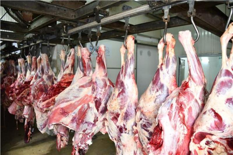 التموين: رصيد اللحوم الحية يكفى 11.8 شهر