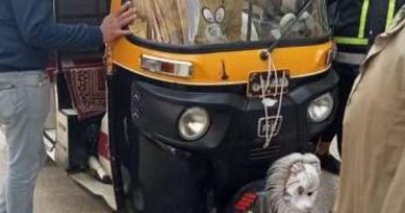 حظر سير مركبات التوك توك بشوارع مدينة ملوى جنوب المنيا