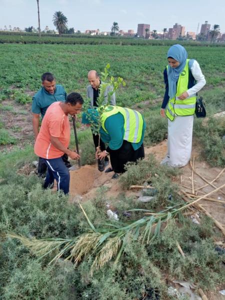 محافظ المنيا يتابع جهود الوحدات المحلية في تنفيذ المبادرة الرئاسية لزراعة" 100 مليون شجرة"