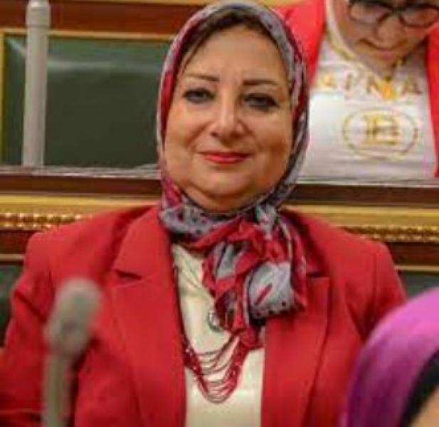 نسرين صلاح عمر، عضو مجلس النواب