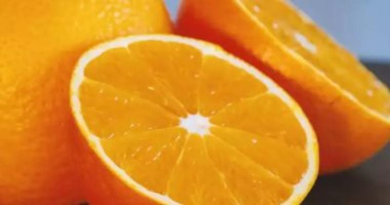  محصول البرتقال 