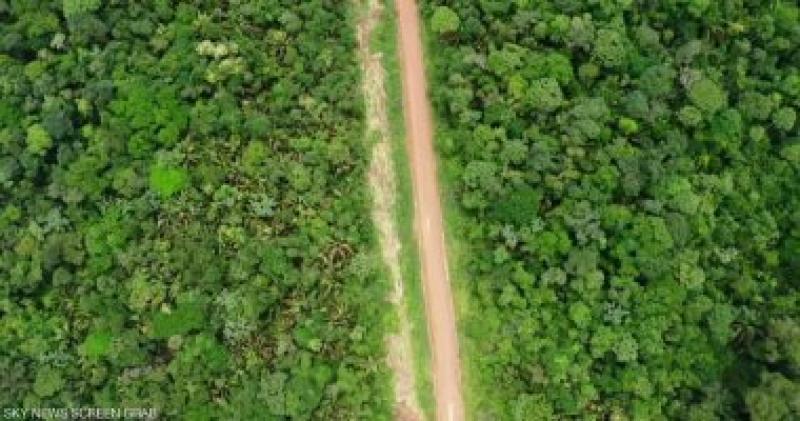 غابات الامازون