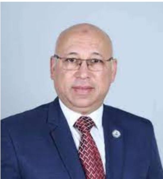 الدكتور رياض اسماعيل عضو مجلس الشيوخ عن شمال سيناء
