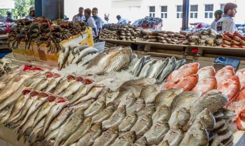 أسعار الأسماك اليوم الثلاثاء 4 يوليو 2023