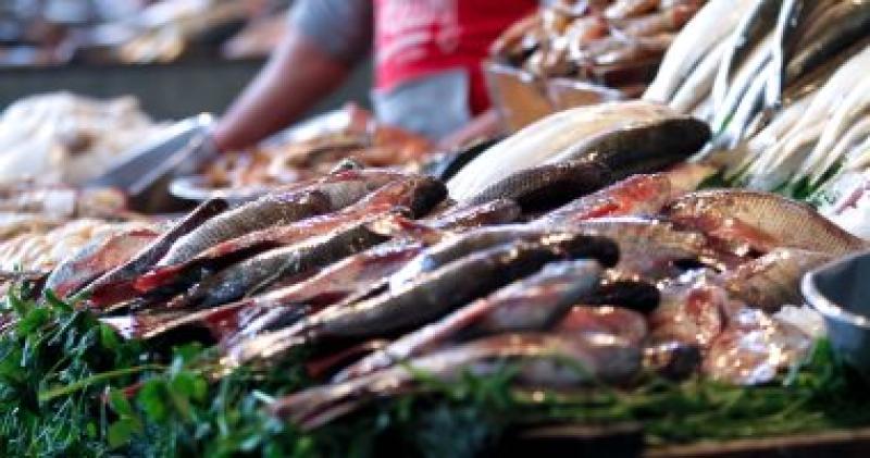 أسعار الأسماك اليوم الجمعة 3-2-2023.. البلطى يبدأ من 39 جنيها للكيلو