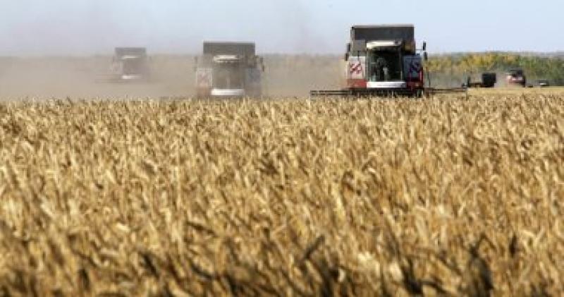 تداول القمح غدا بمنصة البورصة المصرية للسلع