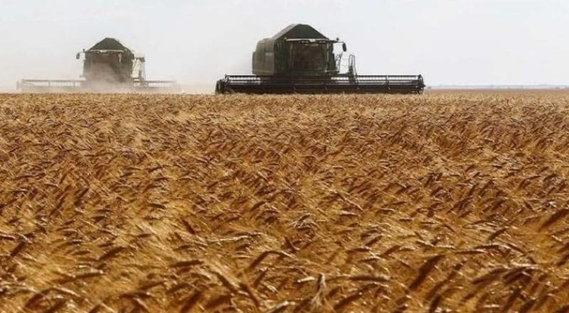 زيادة المساحات المزروعة بالقمح