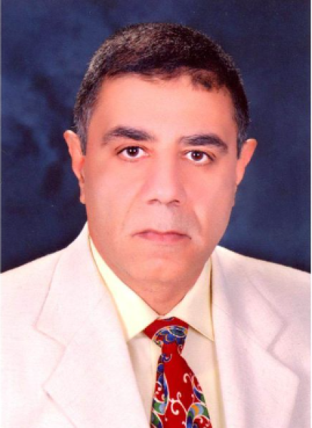 محمد حسين أبو العلا
