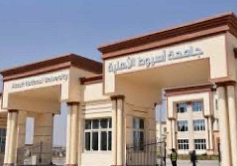 جامعة أسيوط