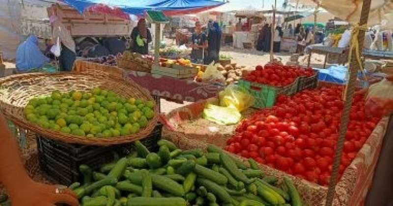 أسعار الخضراوات فى سوق الجملة اليوم تسجل استقرارا ملحوظا