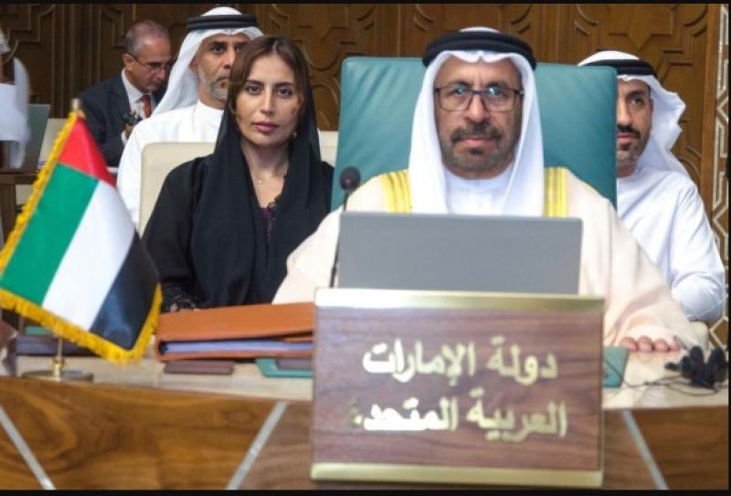 خليفة شاهين المرر - وزير الدولة الإماراتي