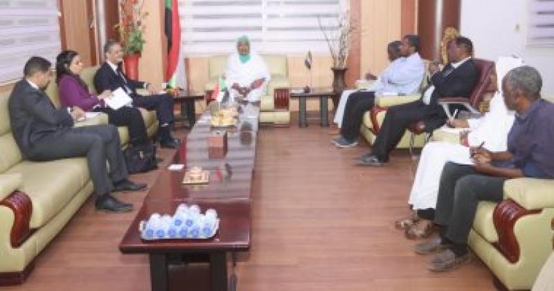 سفير مصر لدى الخرطوم يلتقى وزيرة الشباب والرياضة السودانية
