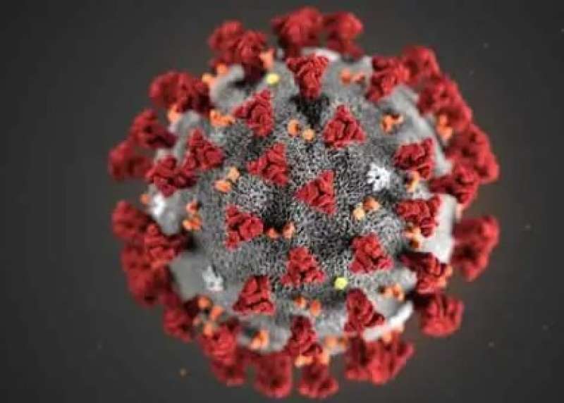 تعرف على تفاصيل ظهور فيروس ”ماربورغ” في غينيا (فيديو)