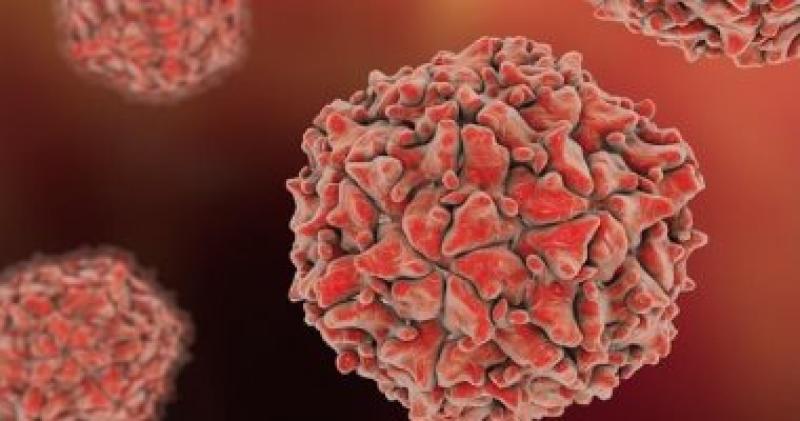 الصحة تكشف تفاصيل منشور بعنوان هام للغاية حول فيروس ماربورج القاتل