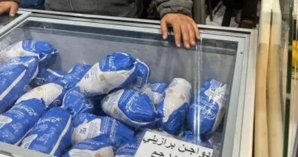 وزارة التموين تطرح دواجن مجمدة بمنافذ القابضة الغذائية بـ130 جنيها للكيلو