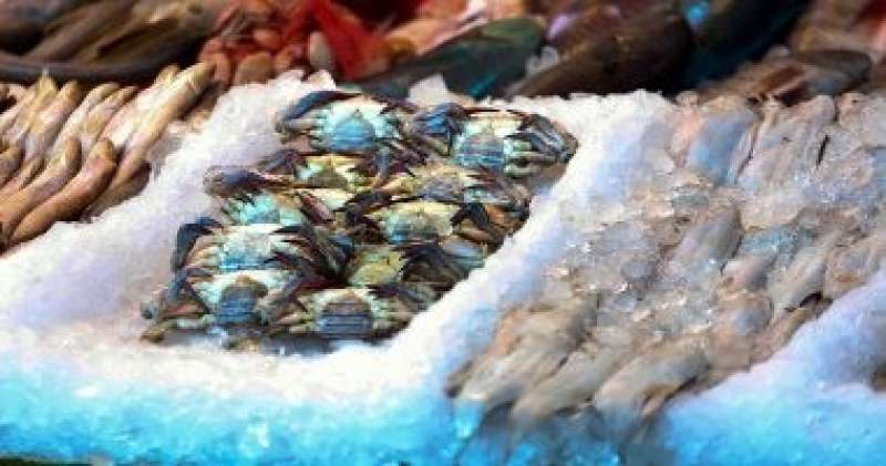 أسعار الأسماك في الأسواق واستقرار ملحوظ لجميع الأصناف