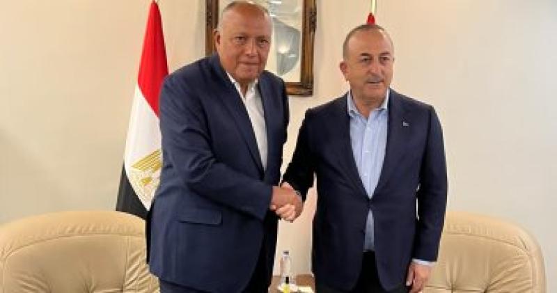 وزيرا خارجية مصر وتركيا