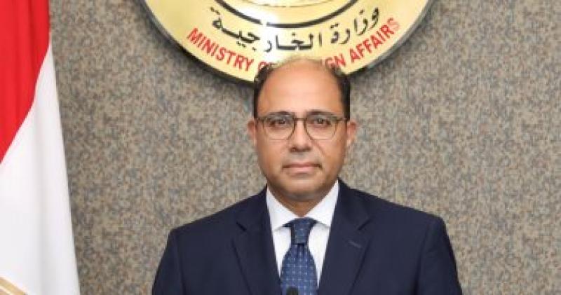 المتحدث الرسمي باسم وزارة الخارجية المصرية السفير أحمد أبو زيد