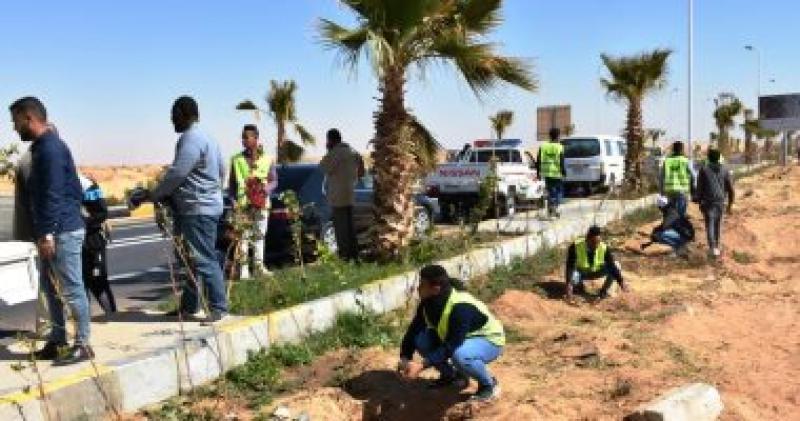 توزيع 13 ألف شجرة مثمرة على الوحدات المحلية والمدارس والمصالح الحكومية ببيلا كفرالشيخ