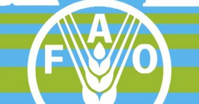 منظمة الأغذية والزراعة (الفاو)
