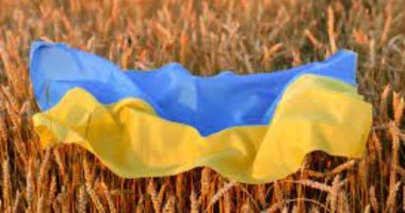 قمح أوكرانيا - أرشيفية